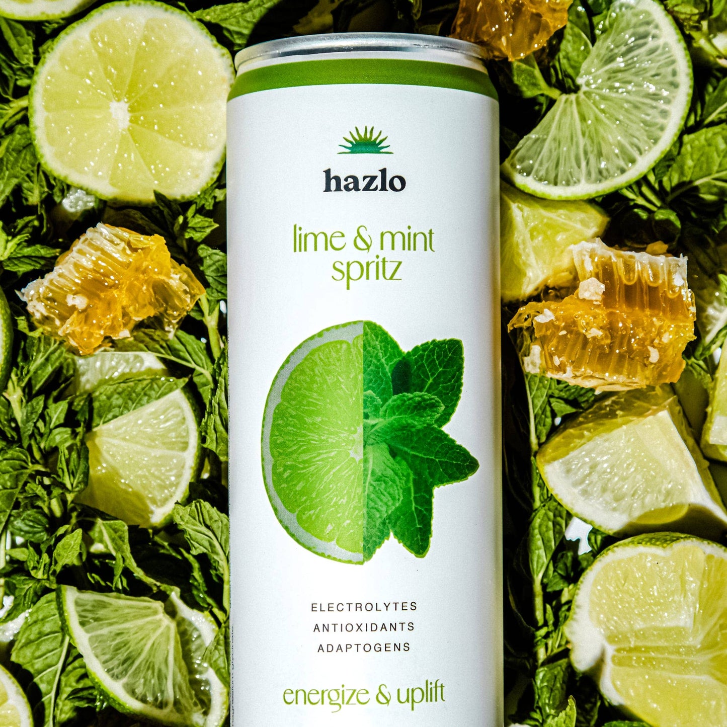 Lime & Mint Case of 12