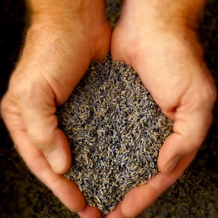 Lavender Bud Sachet