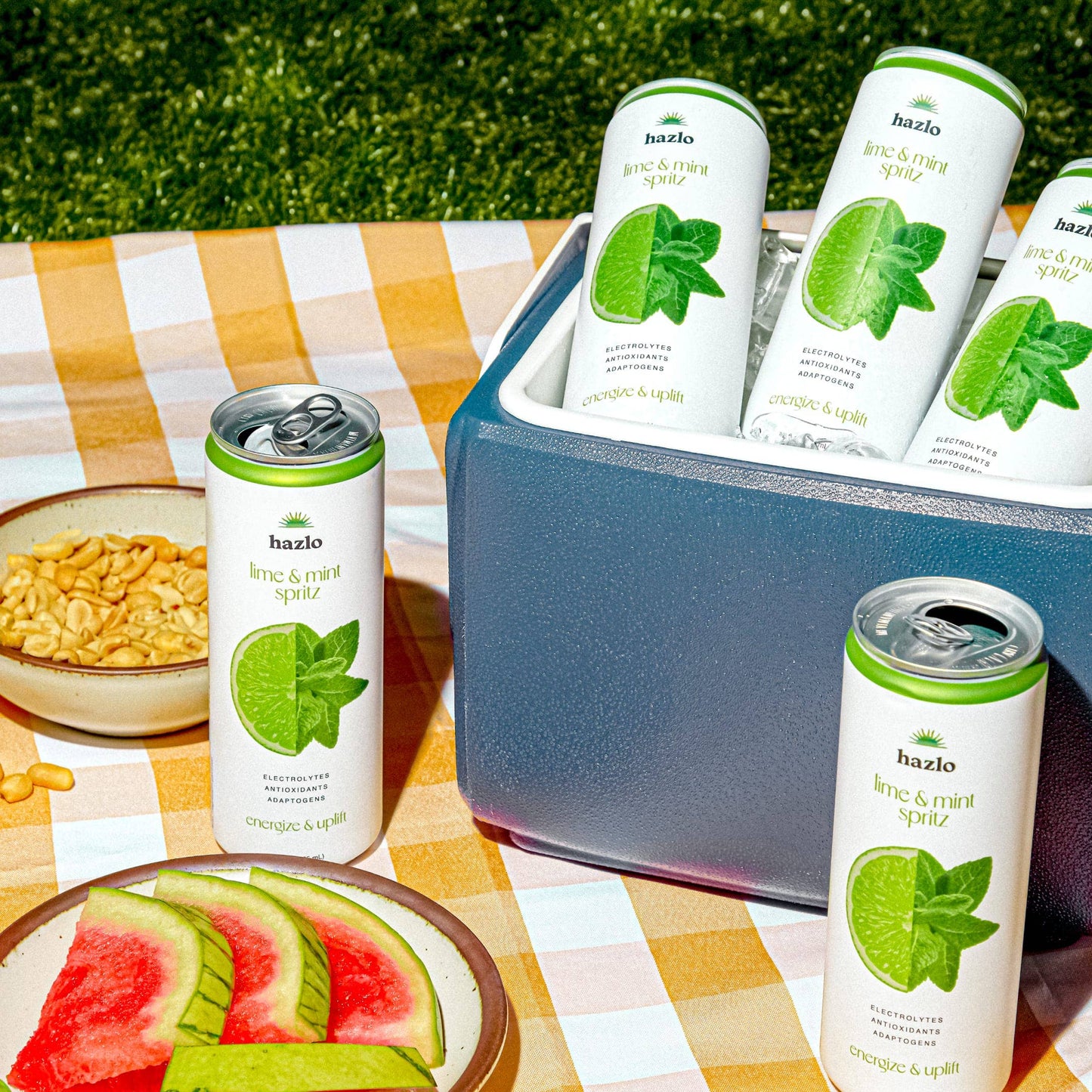 Lime & Mint Case of 12