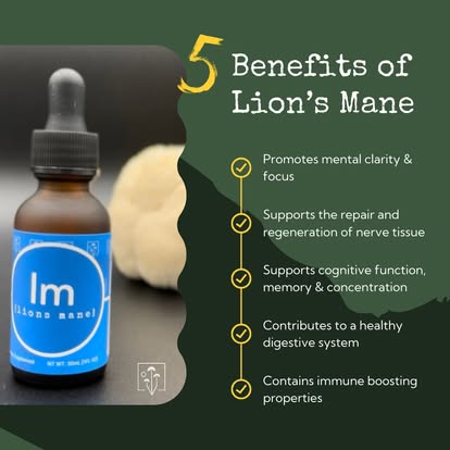 Lions Mane Tincture