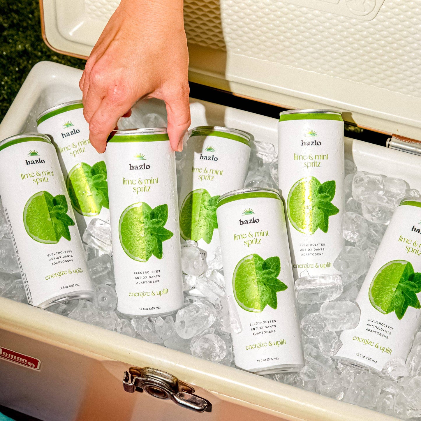 Lime & Mint Case of 12
