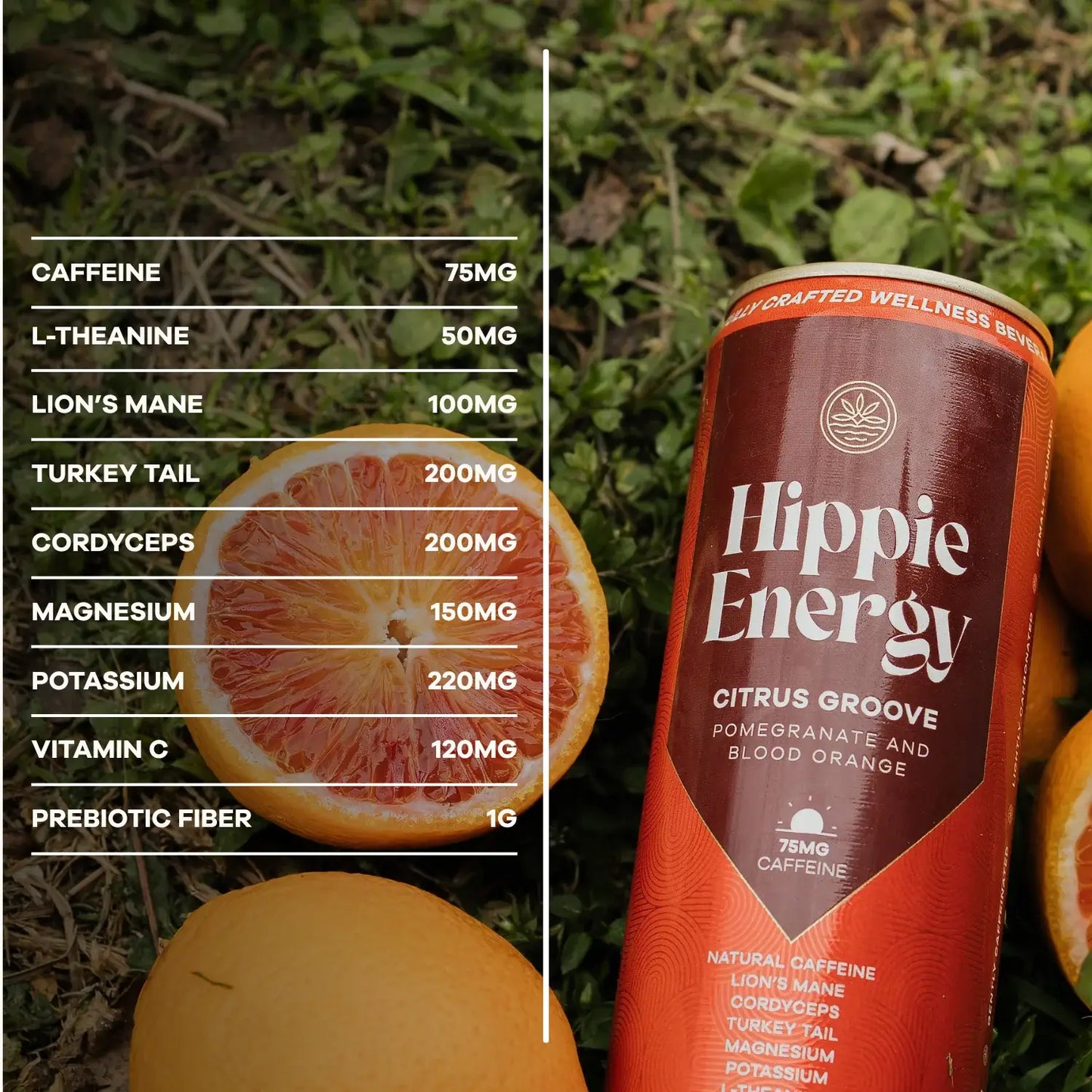 Citrus Groove Hippie Energy