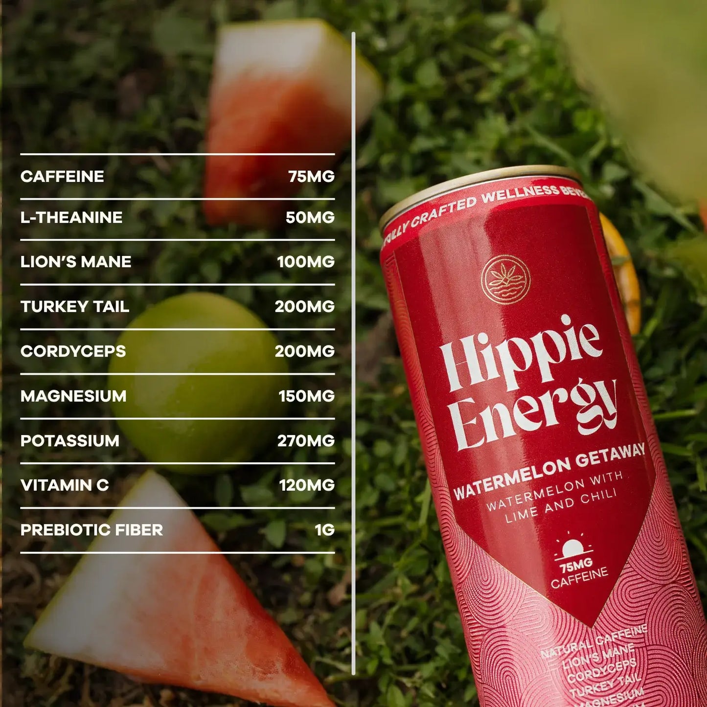 Watermelon Getaway Hippie Energy
